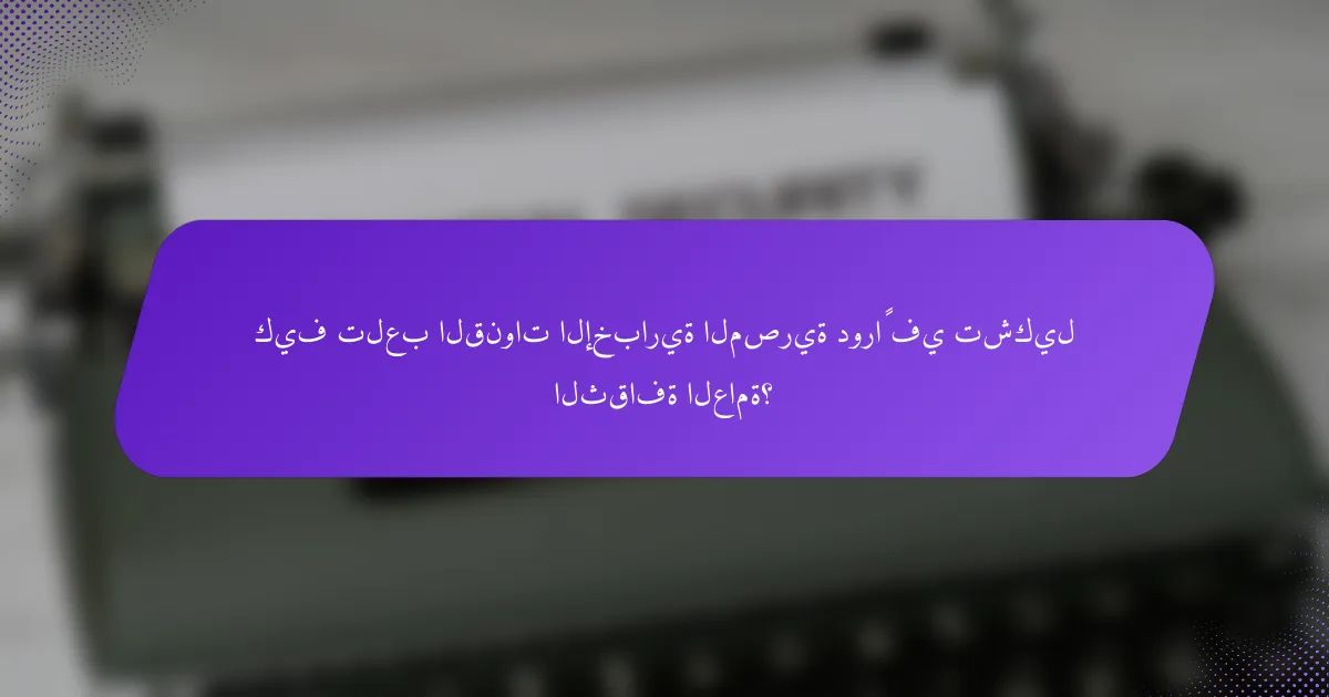 كيف تلعب القنوات الإخبارية المصرية دوراً في تشكيل الثقافة العامة؟