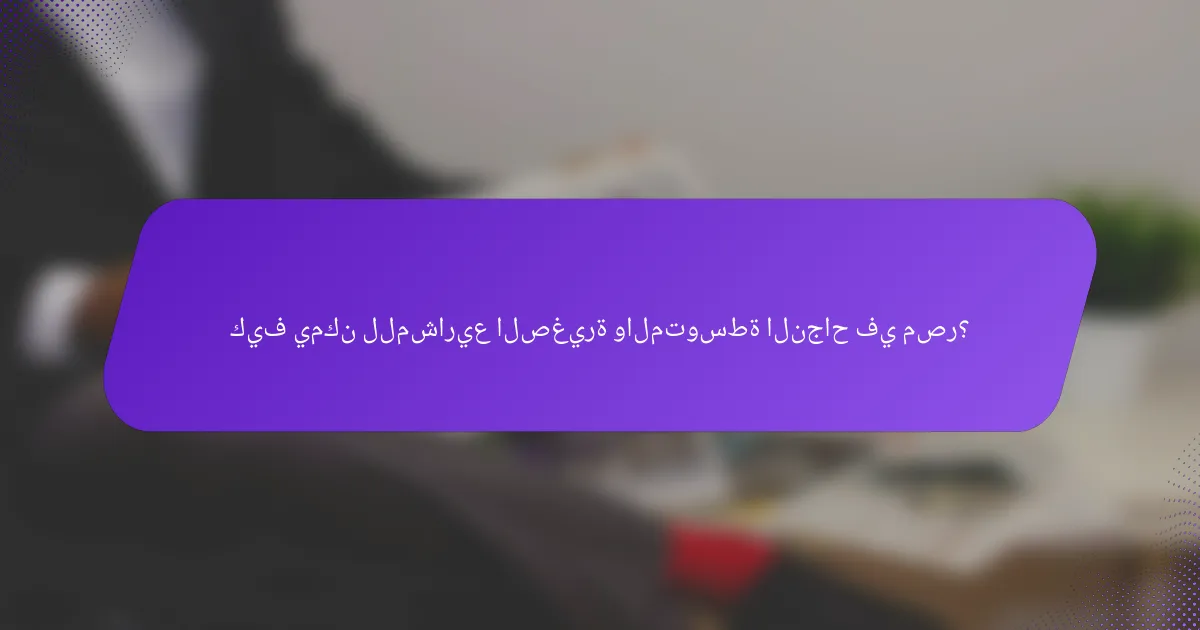كيف يمكن للمشاريع الصغيرة والمتوسطة النجاح في مصر؟