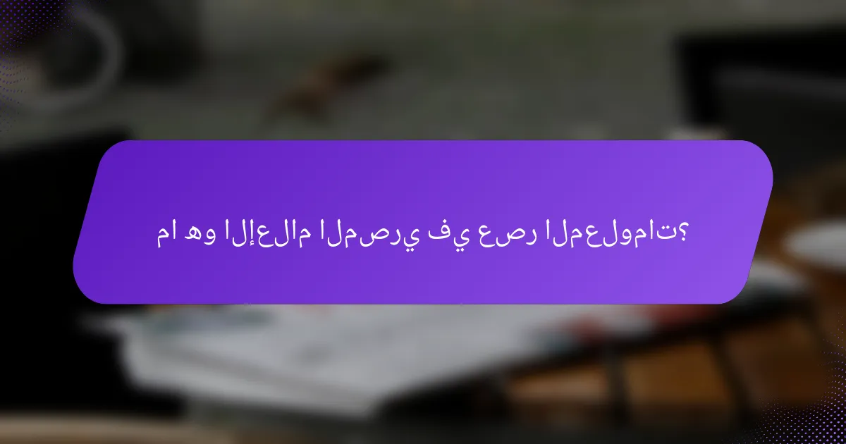 ما هو الإعلام المصري في عصر المعلومات؟
