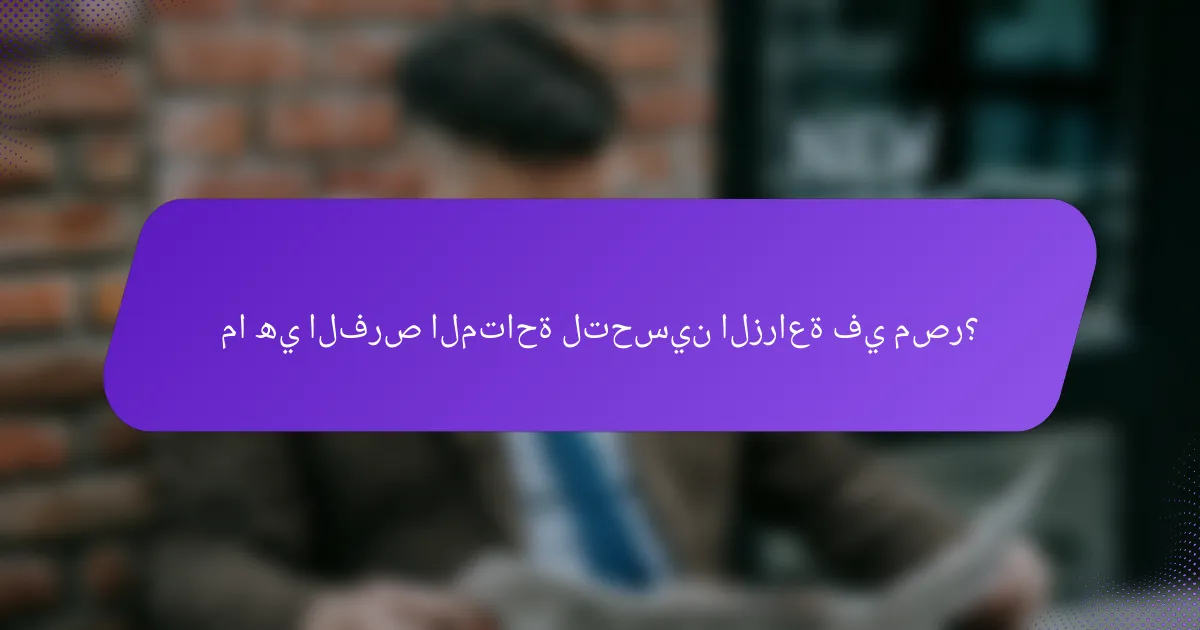 ما هي الفرص المتاحة لتحسين الزراعة في مصر؟