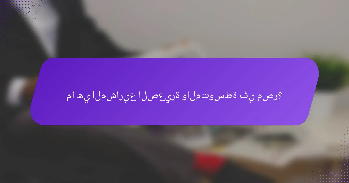 ما هي المشاريع الصغيرة والمتوسطة في مصر؟