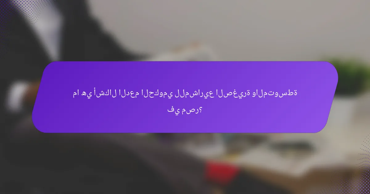 ما هي أشكال الدعم الحكومي للمشاريع الصغيرة والمتوسطة في مصر؟