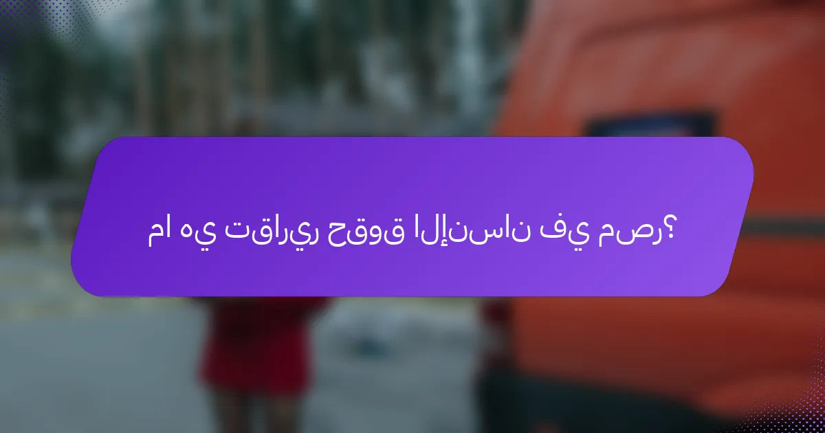 ما هي تقارير حقوق الإنسان في مصر؟